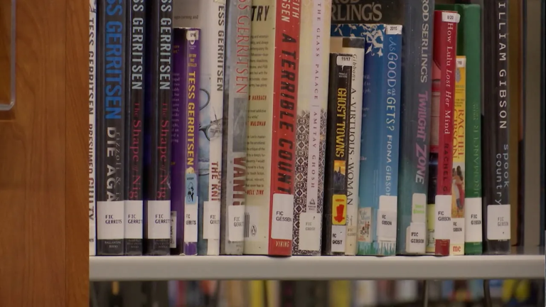 Distrik Sekolah Tennessee Hapus Seri Manga dari Perpustakaan